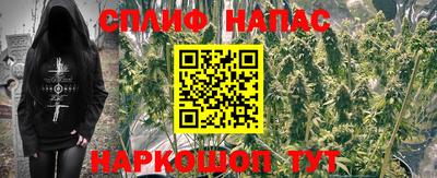 спайс Владивосток
