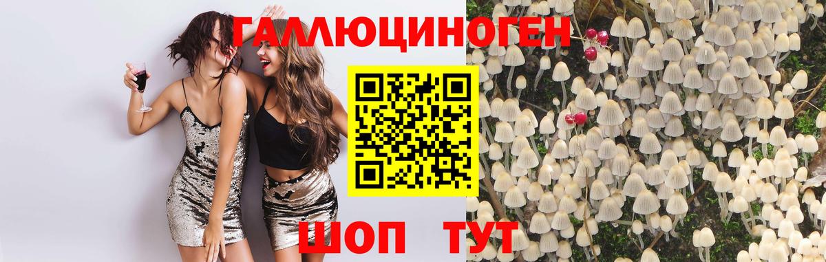 Псилоцибиновые грибы прущие грибы  Вход с VPN  где можно купить   Асино 
