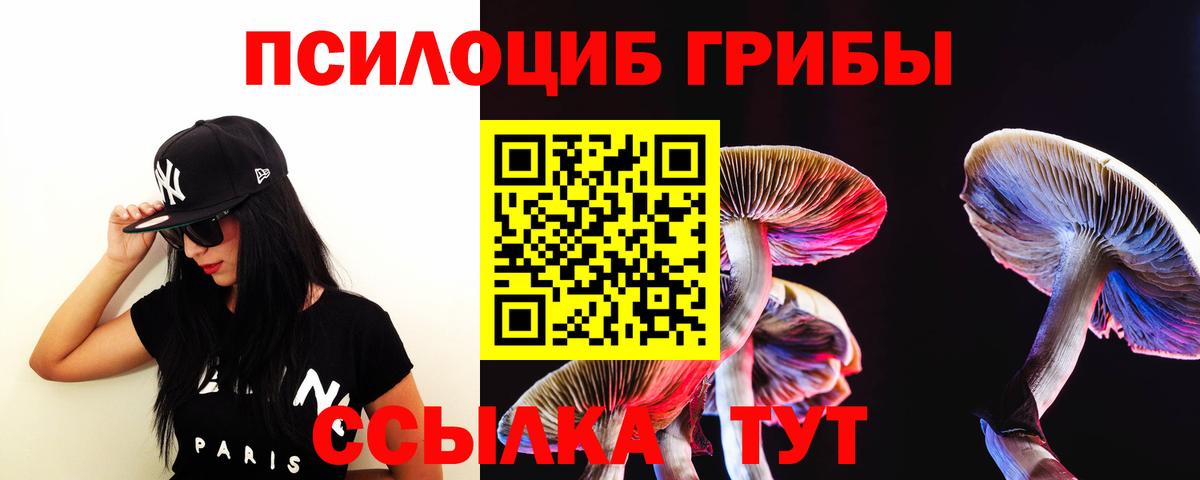 Галлюциногенные грибы Magic Shrooms Асино