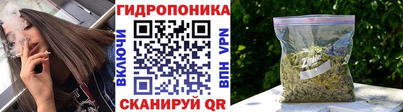 Бошки Шишки гибрид  Асино 