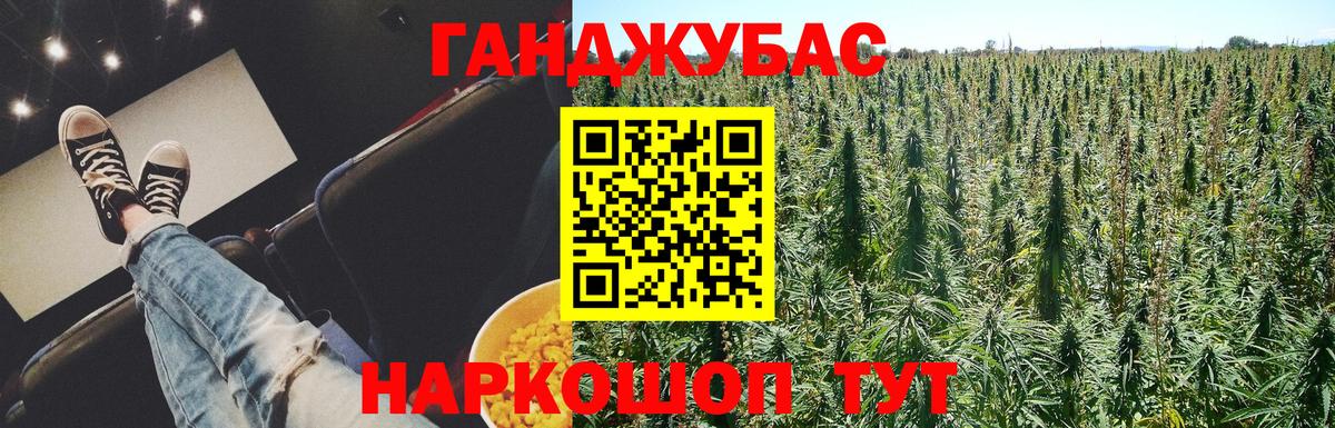 Конопля гибрид Асино